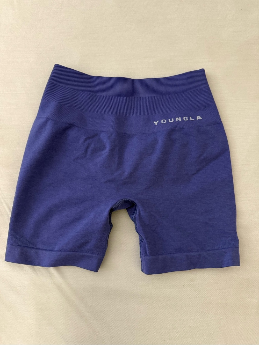 YoungLA Seamless High-Waist Bike Shorts in Royal Purple